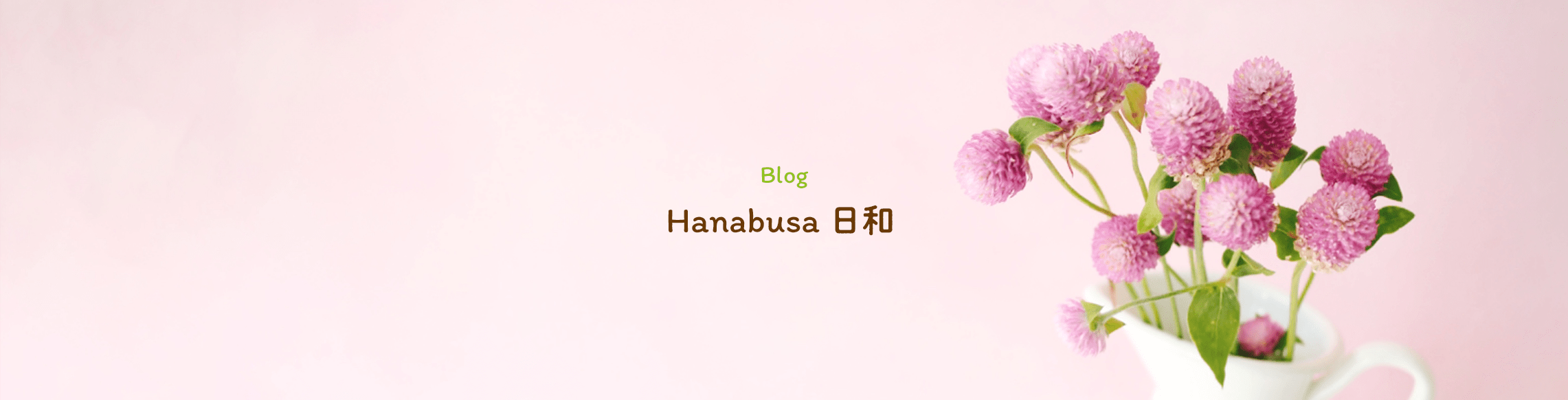 Hanabusa日記